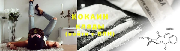 mdpv Медвежьегорск