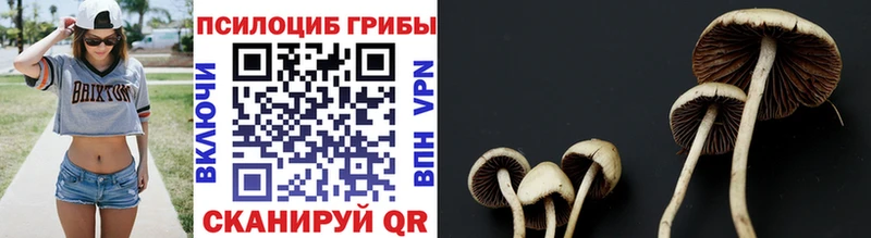 Купить  Нарьян-Мар  Галлюциногенные грибы прущие грибы 